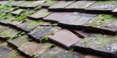 Cople roof repair costs